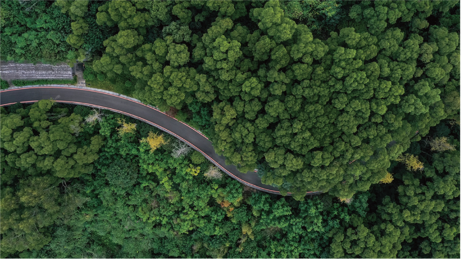 旅游线路